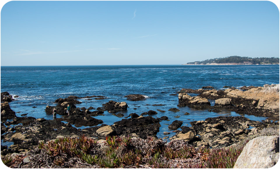 ameryka_usa_blog_monterey_carmel-14