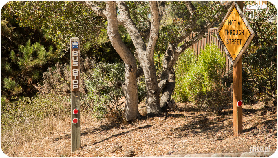 ameryka_usa_blog_monterey_carmel-2