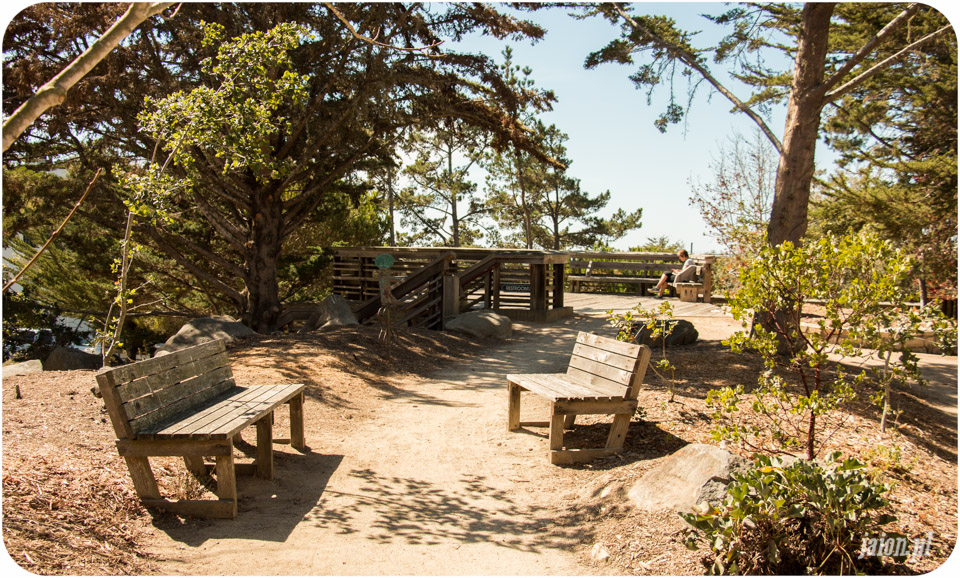 ameryka_usa_blog_monterey_carmel-6