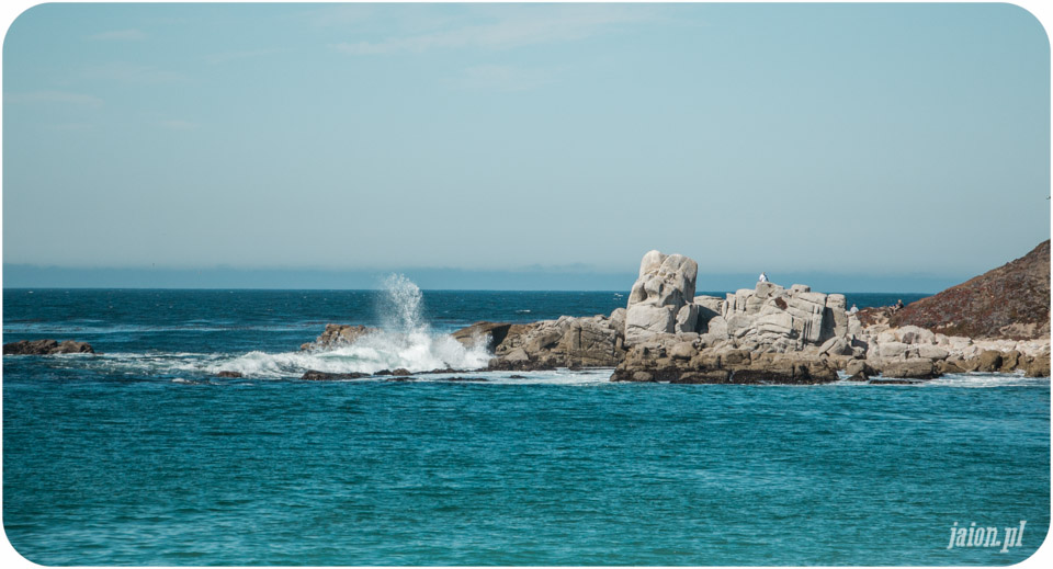 ameryka_usa_blog_monterey_carmel-83