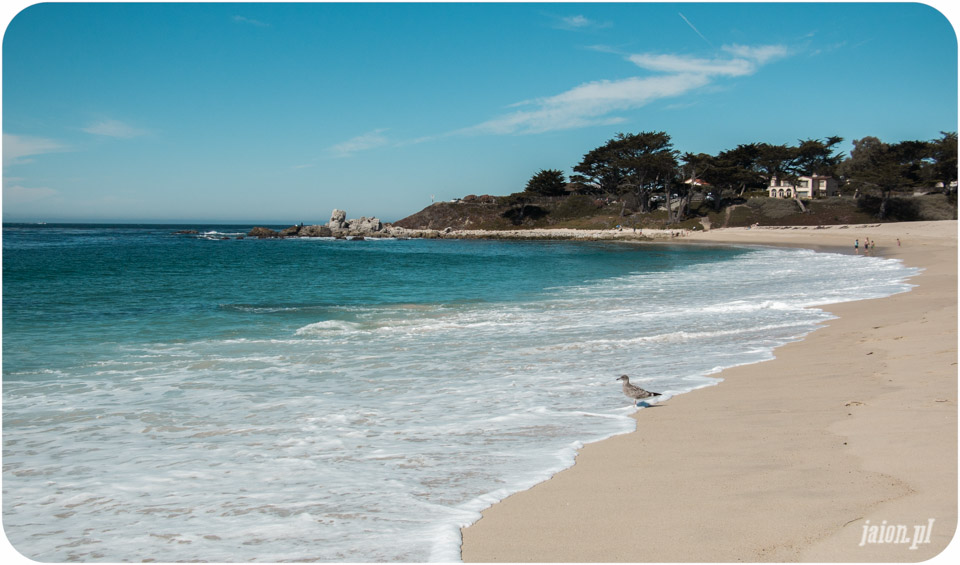 ameryka_usa_blog_monterey_carmel-85