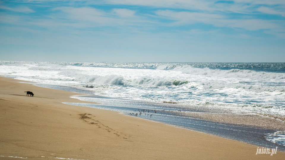 ameryka_usa_blog_ocean_pacyfik_kalifornia-23