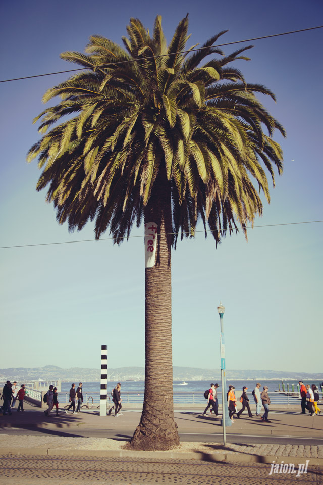 ameryka_usa_blog_san_francisco_bay_bridge_pier_39-26