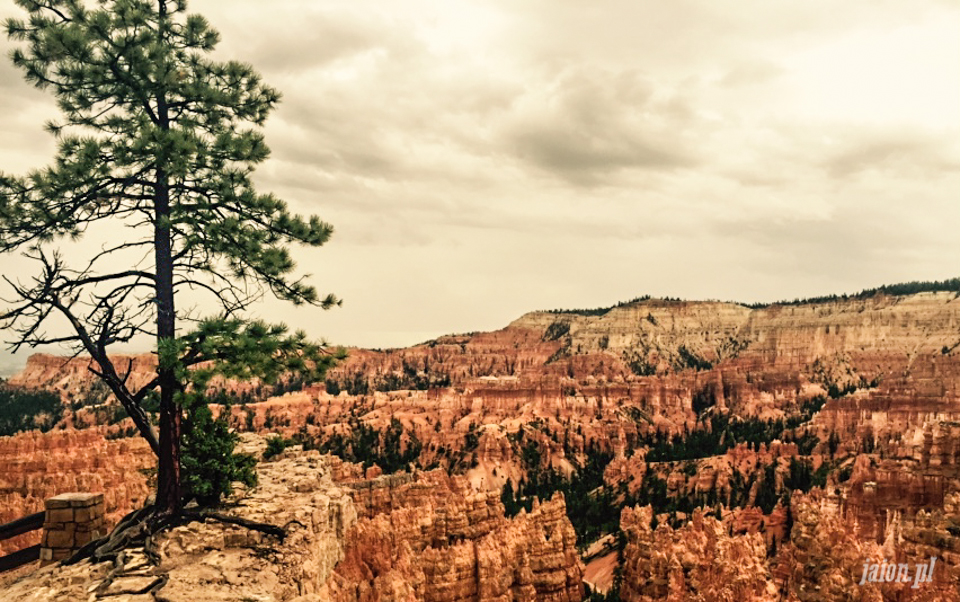 bryce-canyon-utah-8