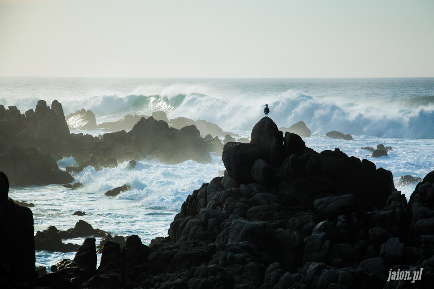 monterey-california-ocean-1