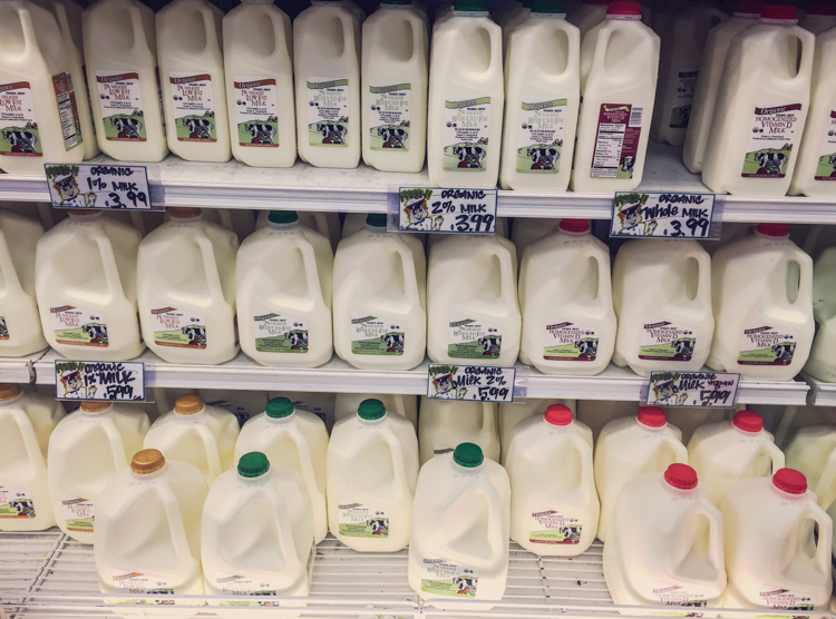 trader-joes-sklepy-ameryka-38-31