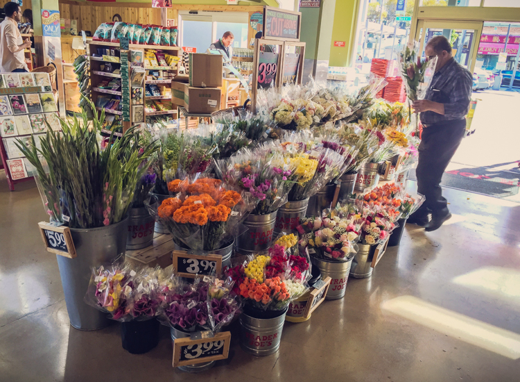 trader-joes-sklepy-ameryka-38-8
