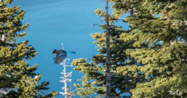 tahoe-jezioro-kalifornia-zima-201625-18