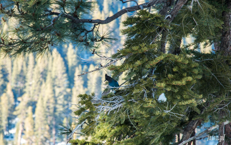 tahoe-jezioro-kalifornia-zima-201625-19