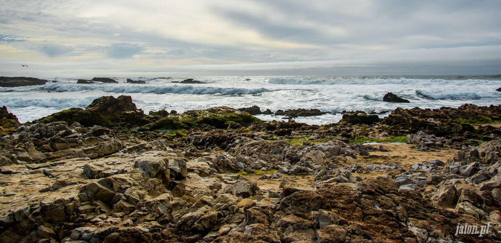 kalifornia-ocean-201614-14